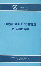 Large Scale Business in Pakistan  By Working Group